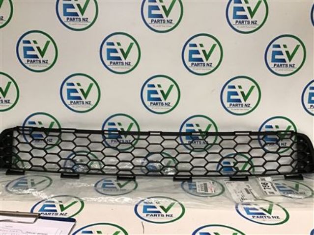 Toyota All Other Radiator Lower Grille